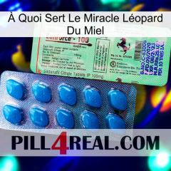 À Quoi Sert Le Miracle Léopard Du Miel new02